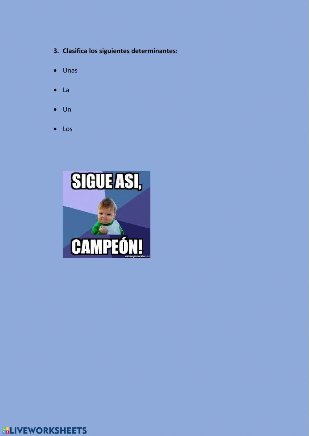 Determinantes artículos