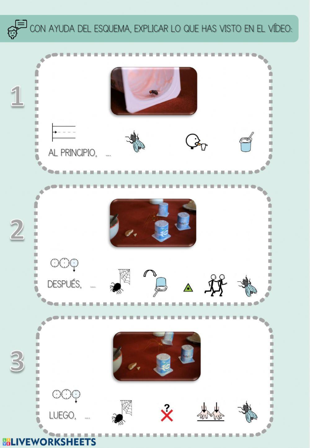 PRAGMÁTICA Y COHERENCIA DEL DISCURSO (la mosca mágica)
