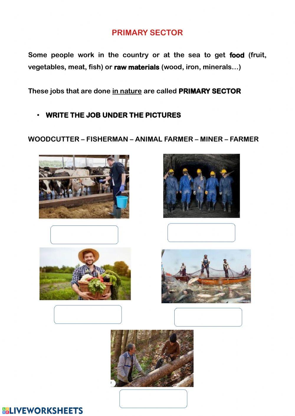 156300 primary sector ebeasain liveworksheets