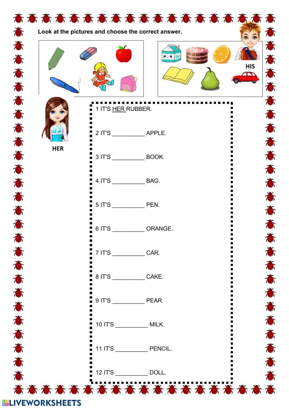 Possessive adjectives