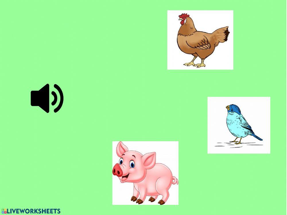 Descriminación auditiva: animales