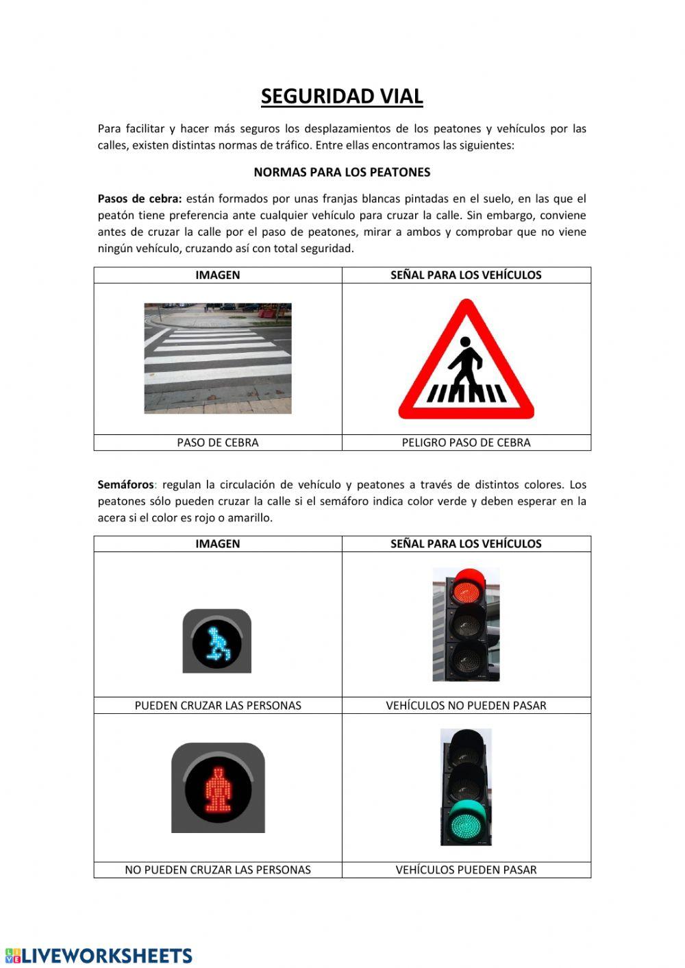 Seguridad vial