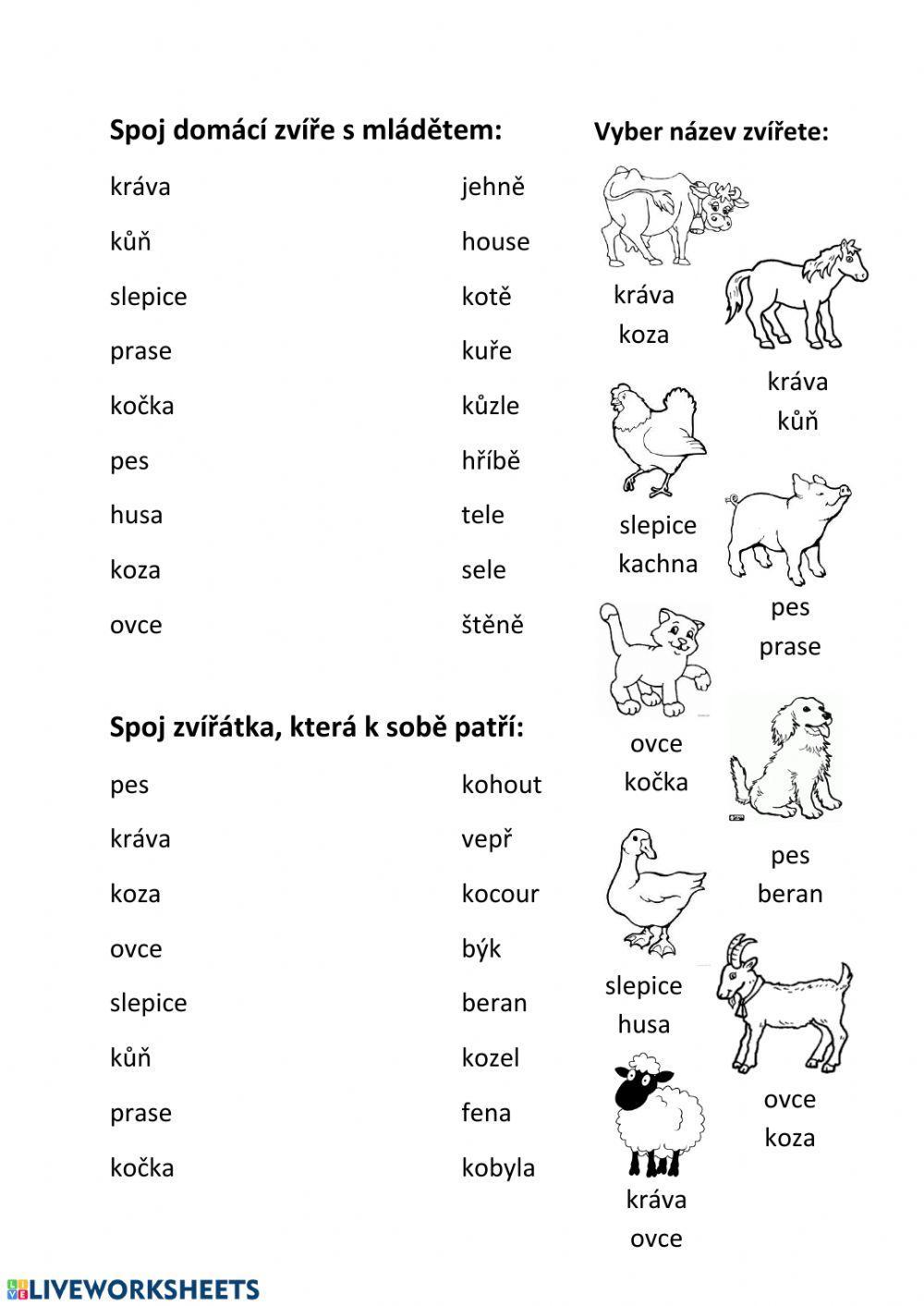 Zvířata a jejich mláďata