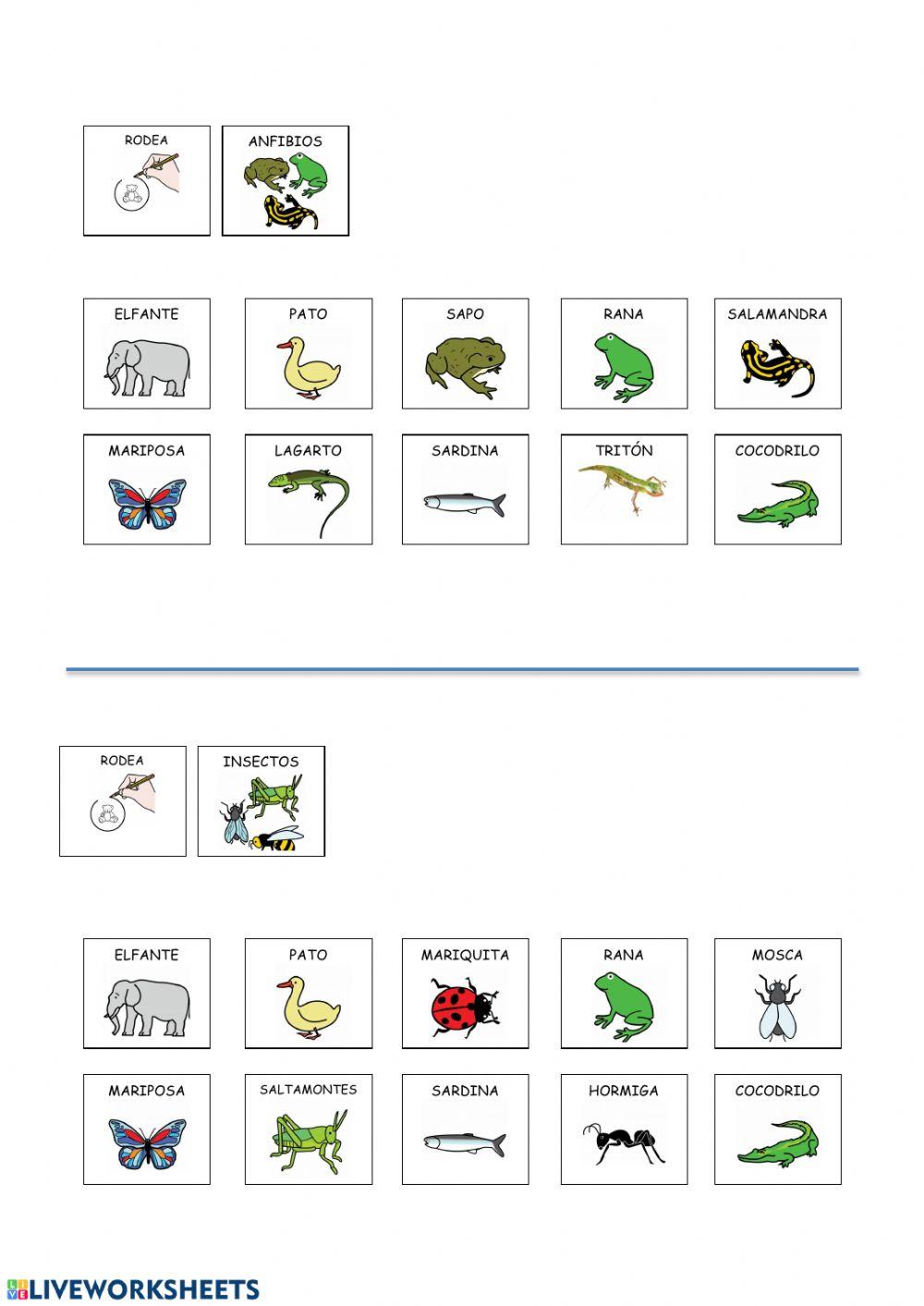 Tipos de animales (ficha adaptada de ARASAAC)