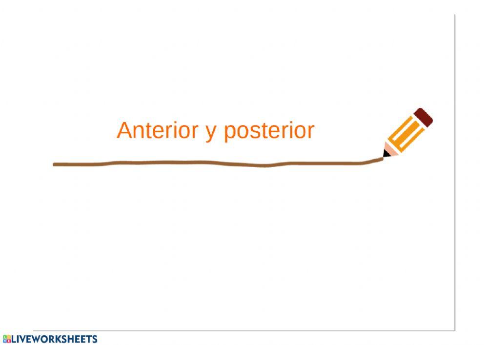 Anterior y posterior hasta 30