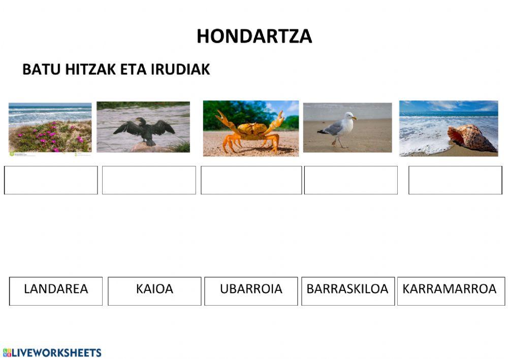 Ekosistemak Ekosistemak