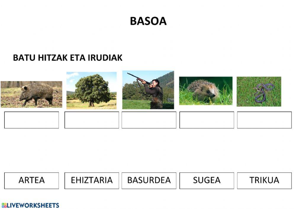 Ekosistemak Ekosistemak