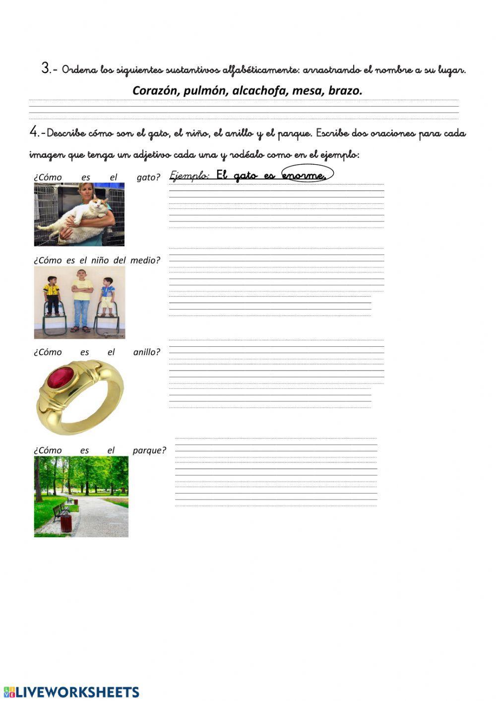 Los adjetivos, mb, mp, cartas y rimas F