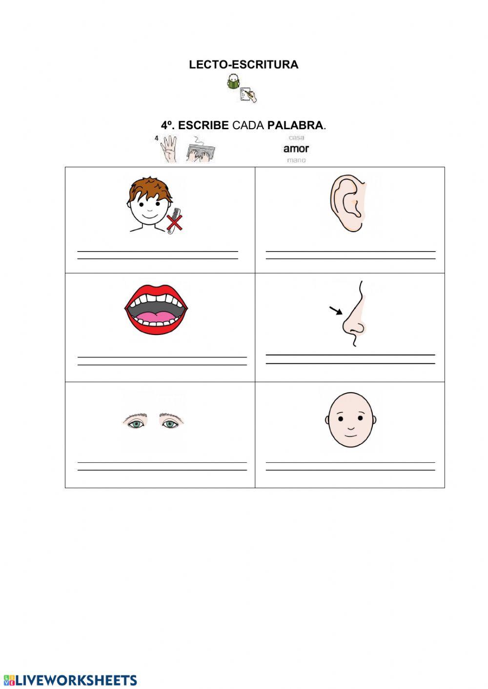 Fuera de aquí horrible monstruo verde (cuento de ED EMBERLY)