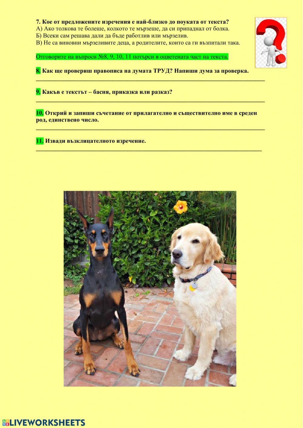 Двете кучета