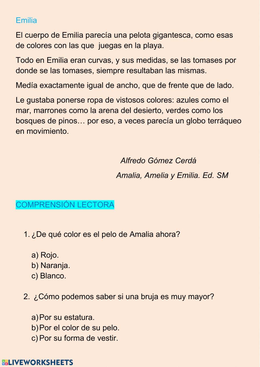 Comprensión lectora de una descripción