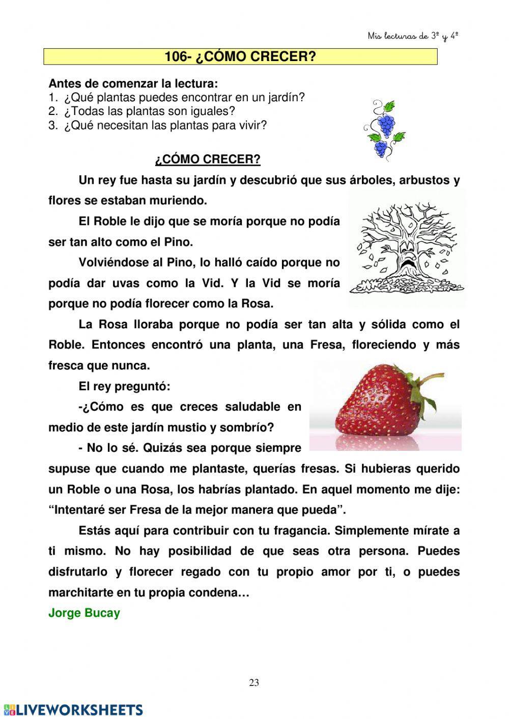 Comprensión lectora