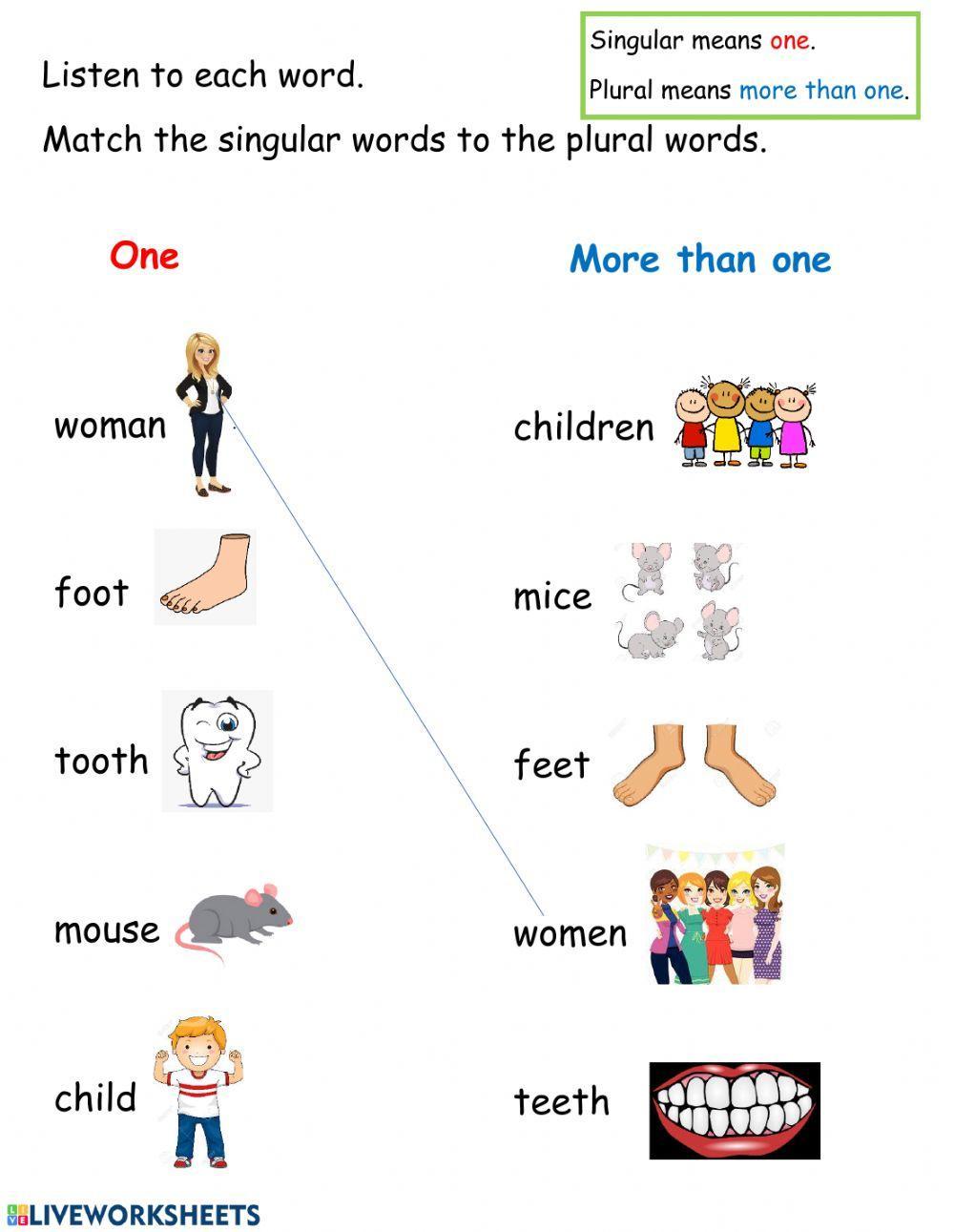 Plurals: Irregular Words