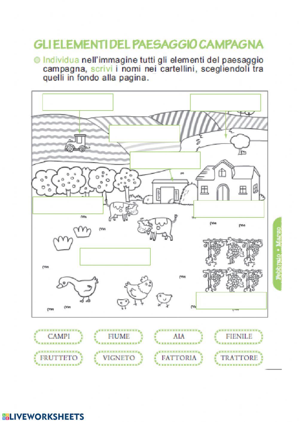 Gli elementi della CAMPAGNA