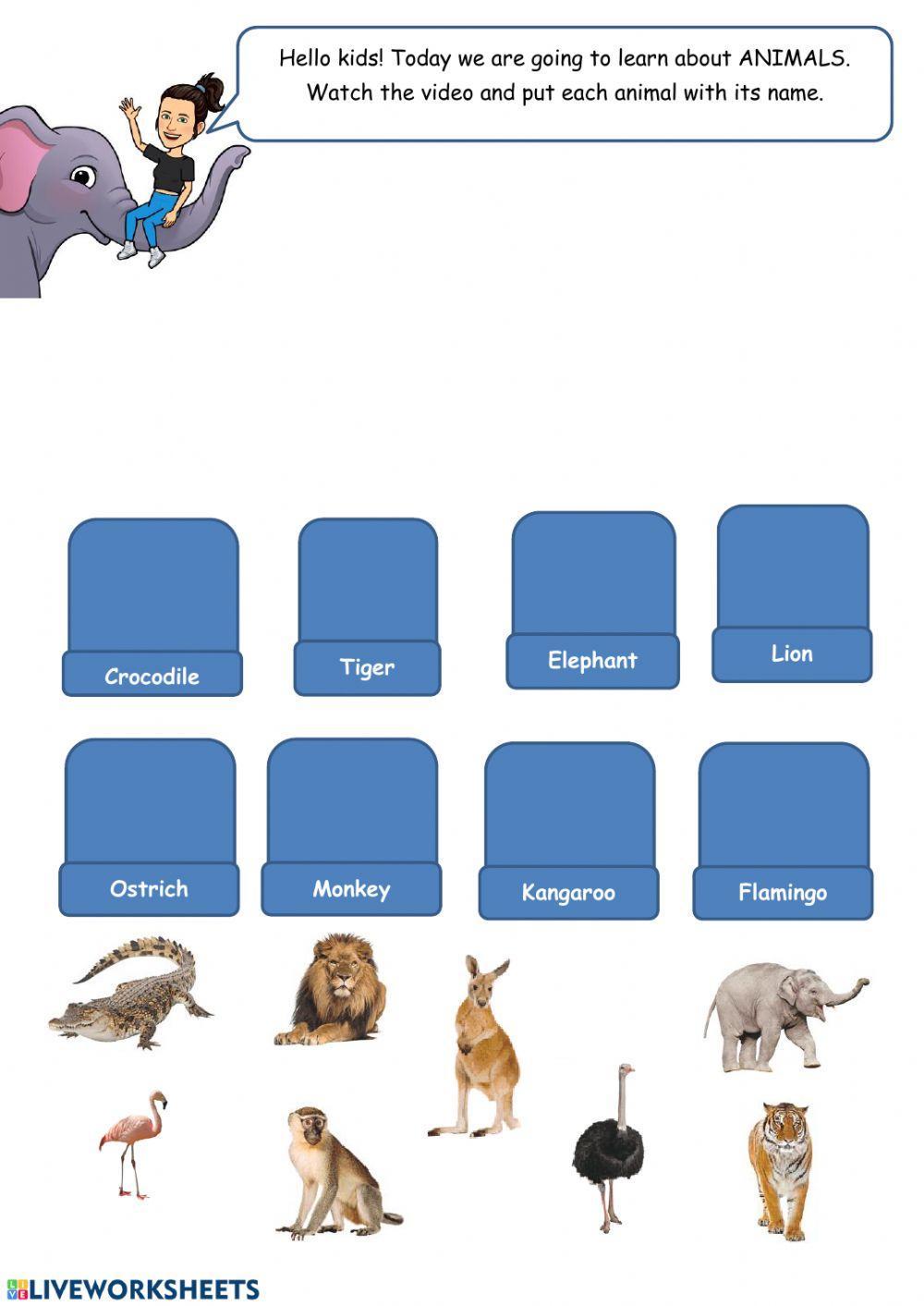 animals-1-live-worksheets