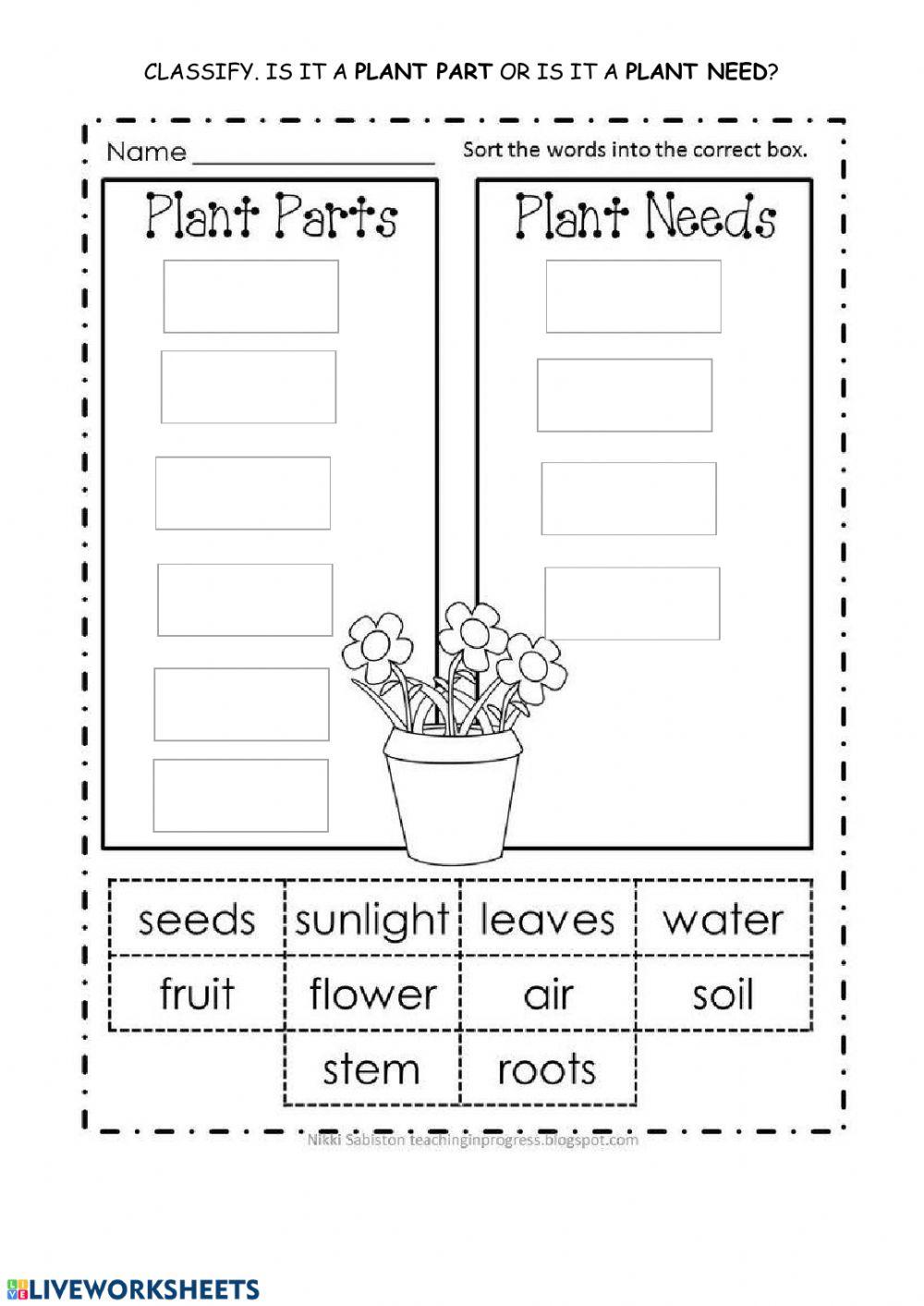 Plant parts and plant needs