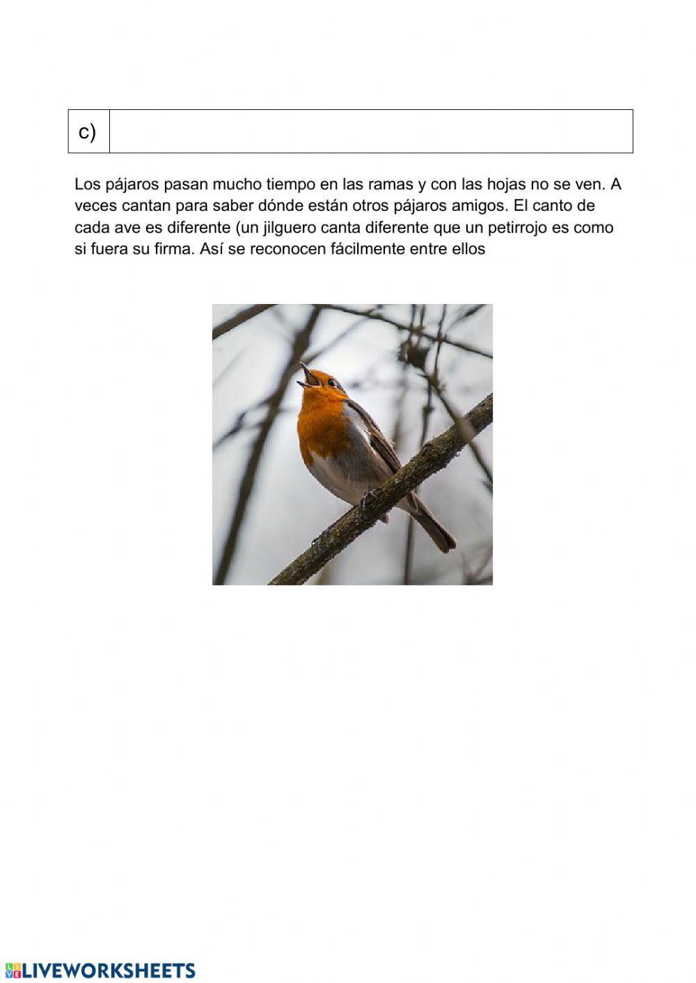 Por qué cantan los pájaros Por qué cantan los pájaros