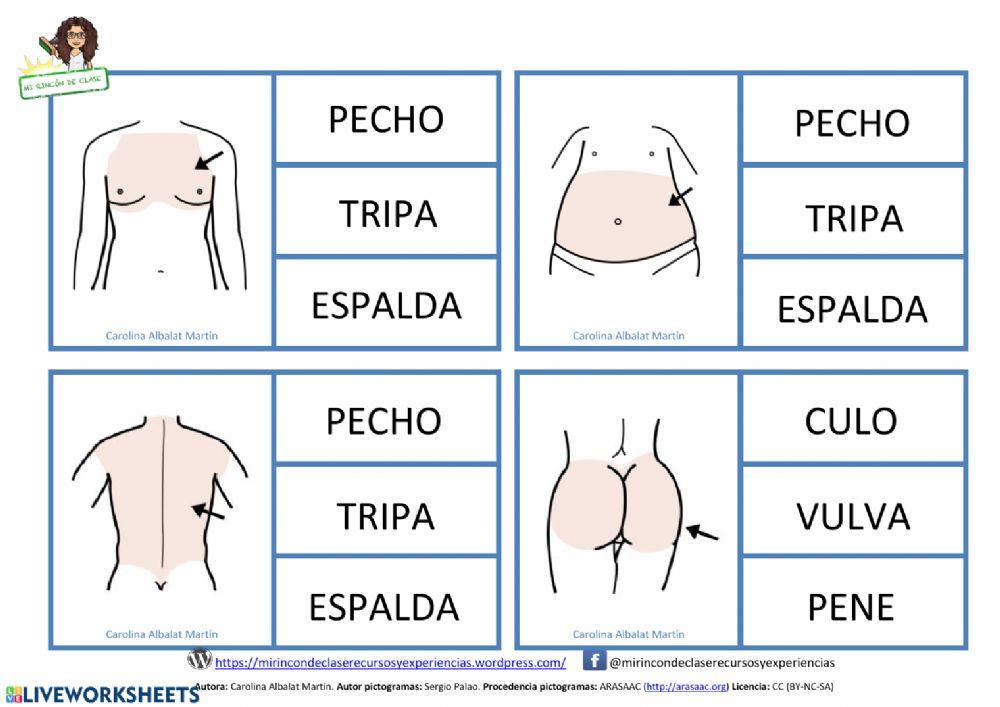 Lectura de palabras: el tronco