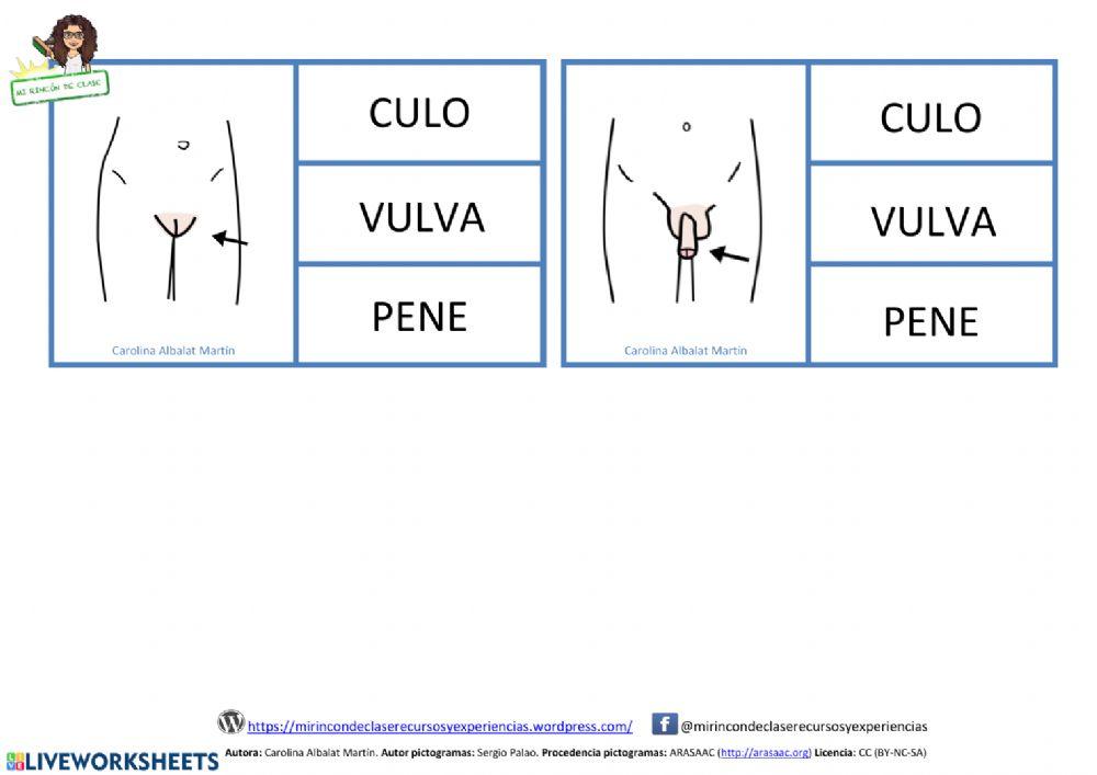 Lectura de palabras: el tronco