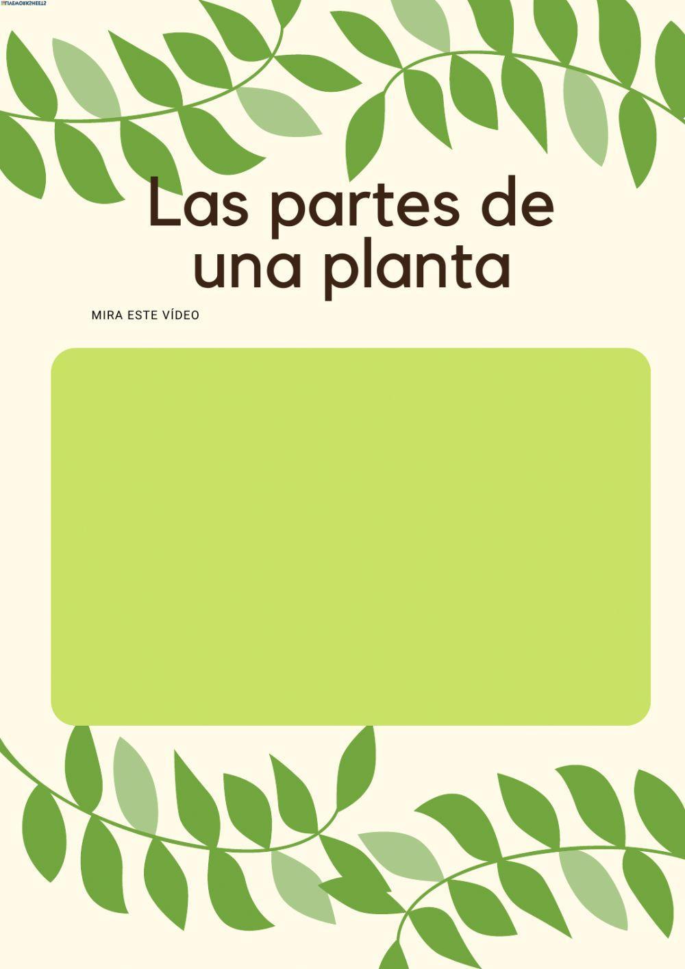 Partes de la planta