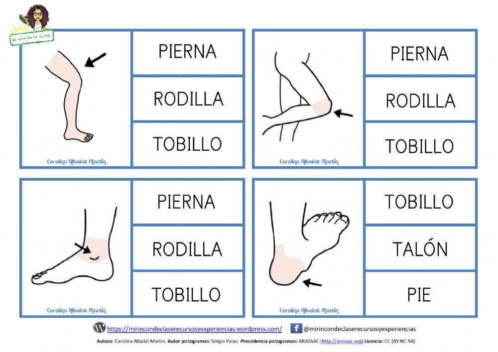 Lectura de palabras: las extremidades