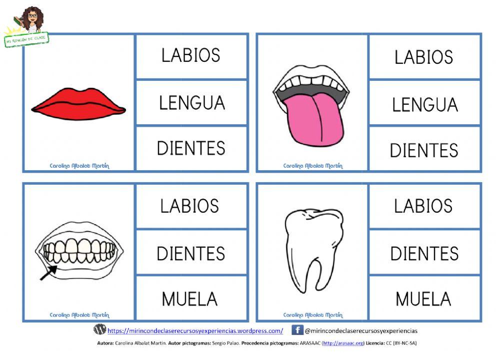 Lectura de palabras: la cara