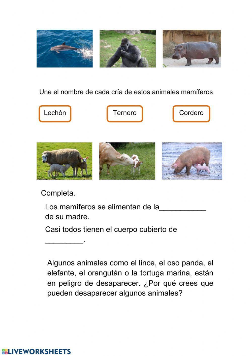 Animales mamíferos