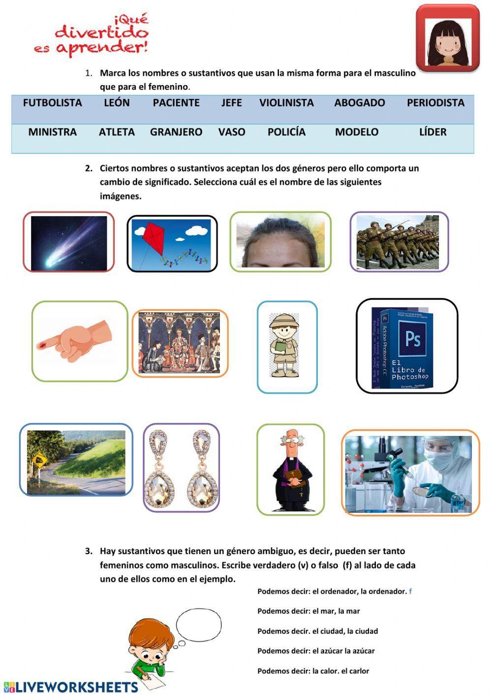 El género de los nombres o sustantivos