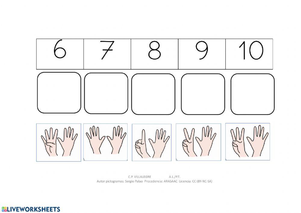 Dedos mano y números