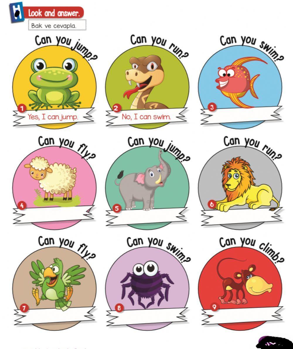 2.10 animals can 2.10 animals can
