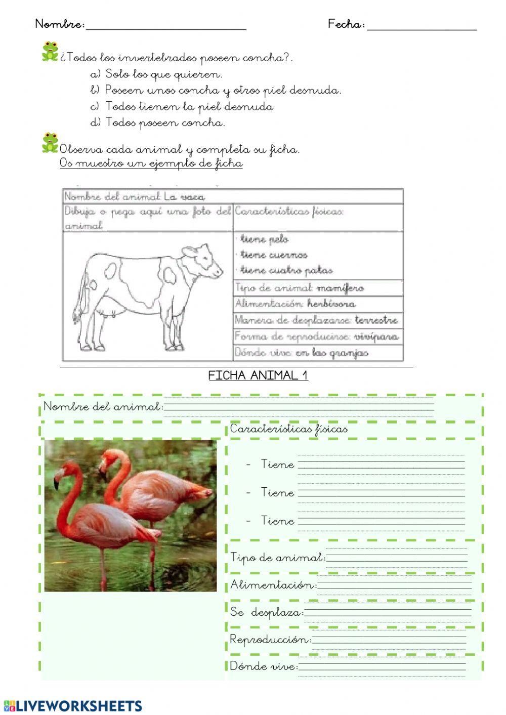 Hoja 8: REPASO animales vertebrados e invertebtrados 6-5