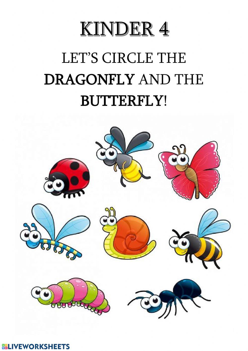 Let's circle the dragonfly and the butterfly
