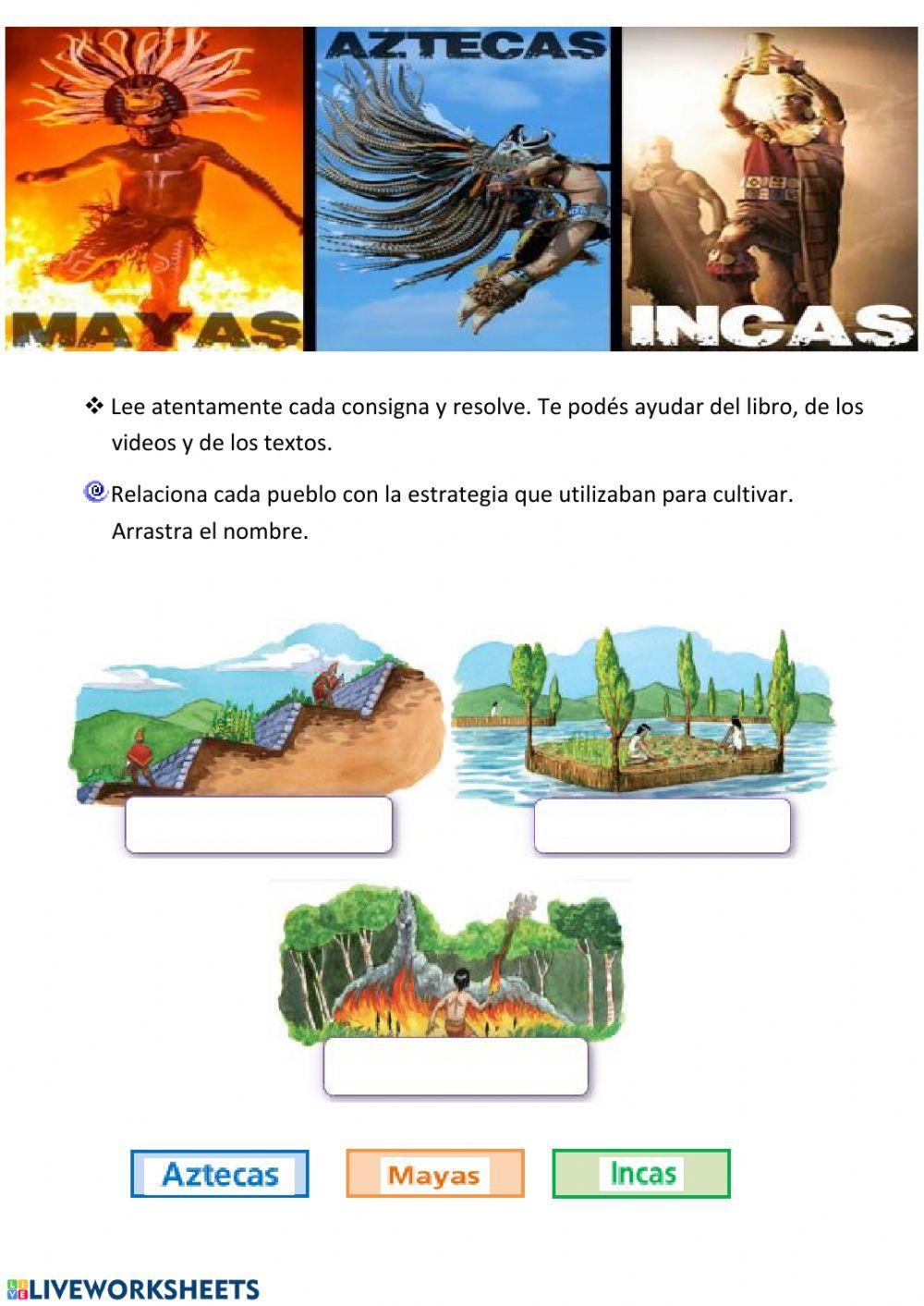 Civilizaciones mayas - incas y aztecas