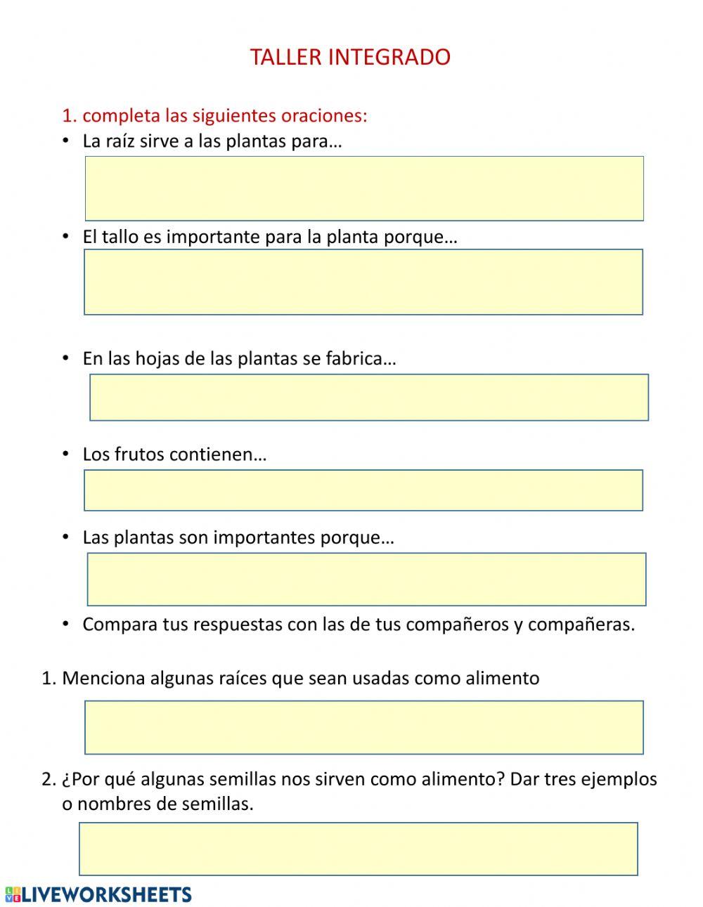 Taller utilidad de las plantas