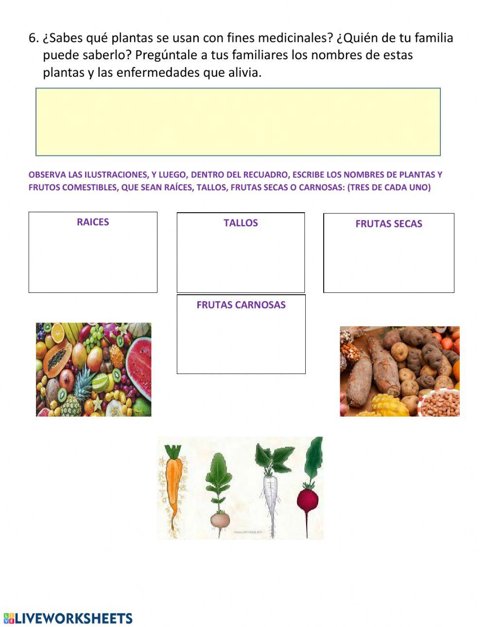 Taller utilidad de las plantas