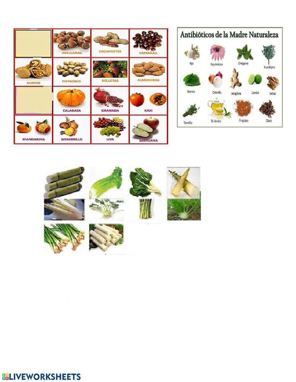 Taller utilidad de las plantas