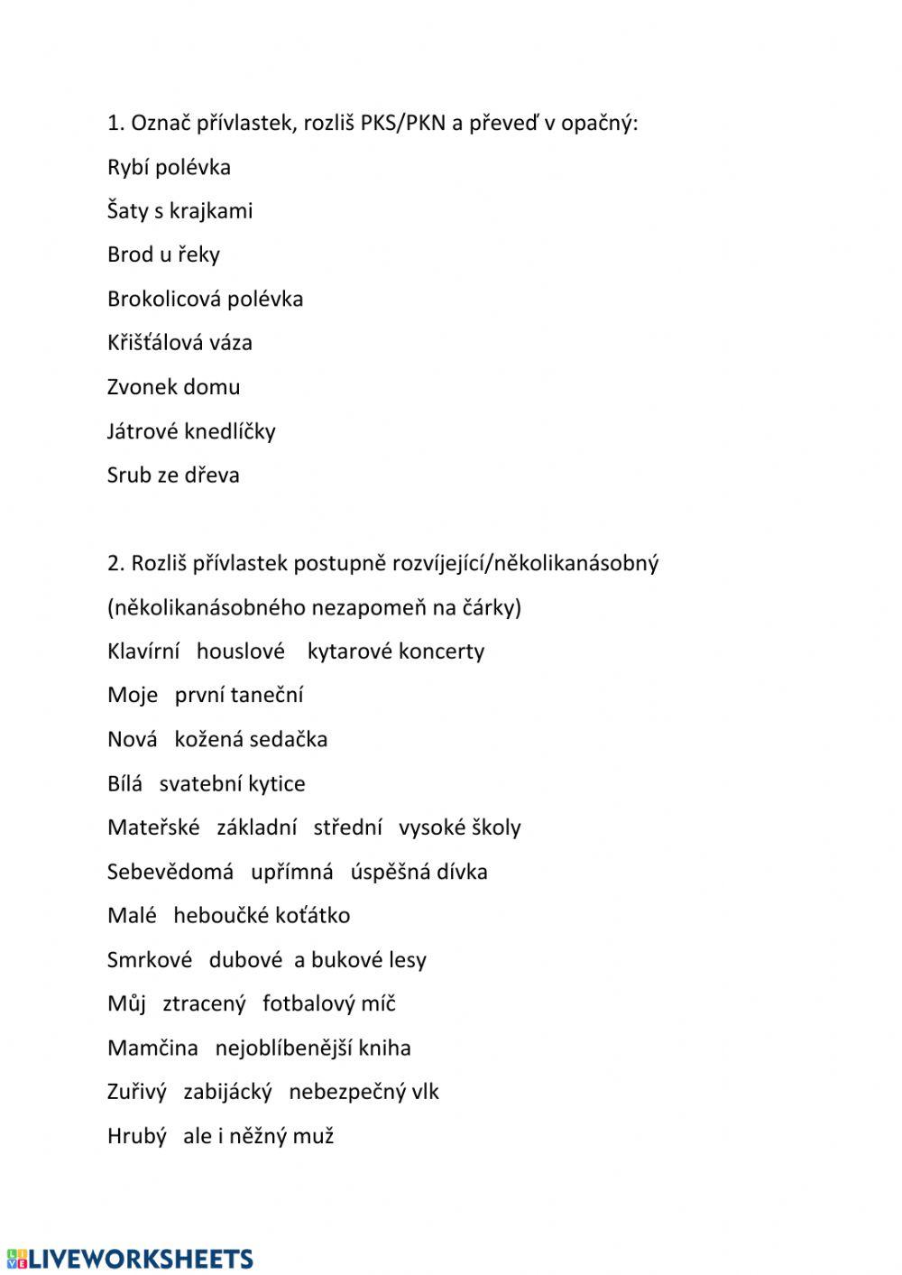 Přívlastky - typy (PKS-PKN-PR-N-těsný-volný)