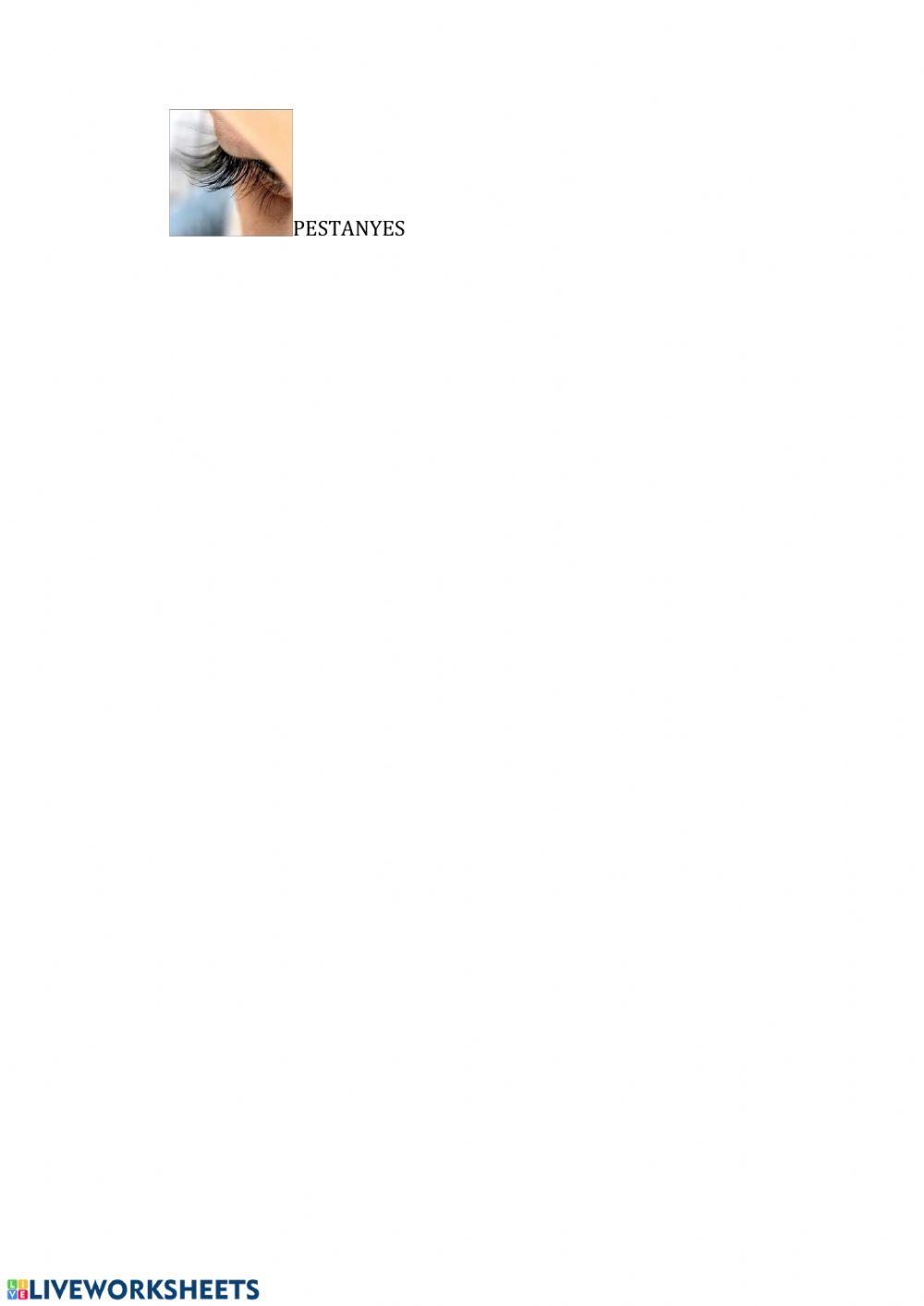 Discriminació S sorda i sonora