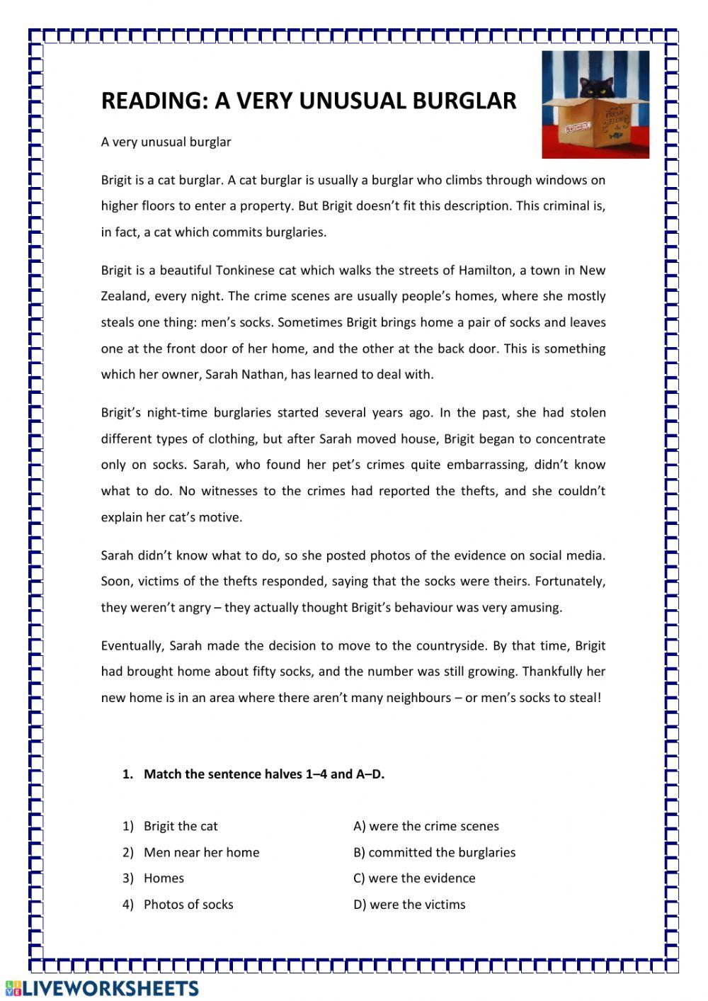 A very unusual burglar