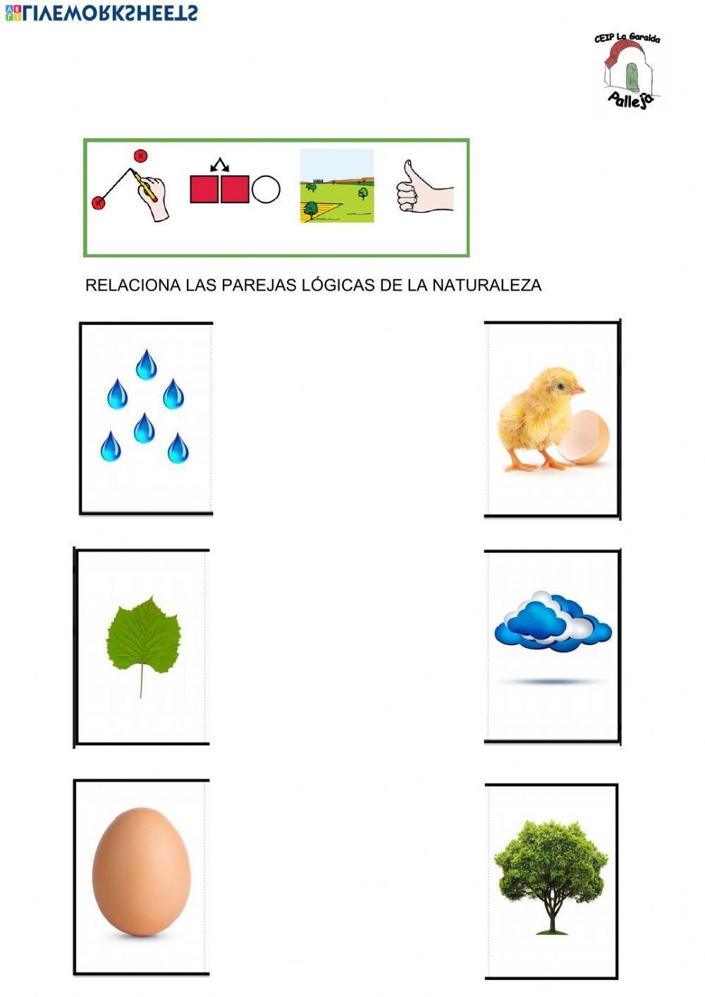 Parejas lógicas de la naturaleza
