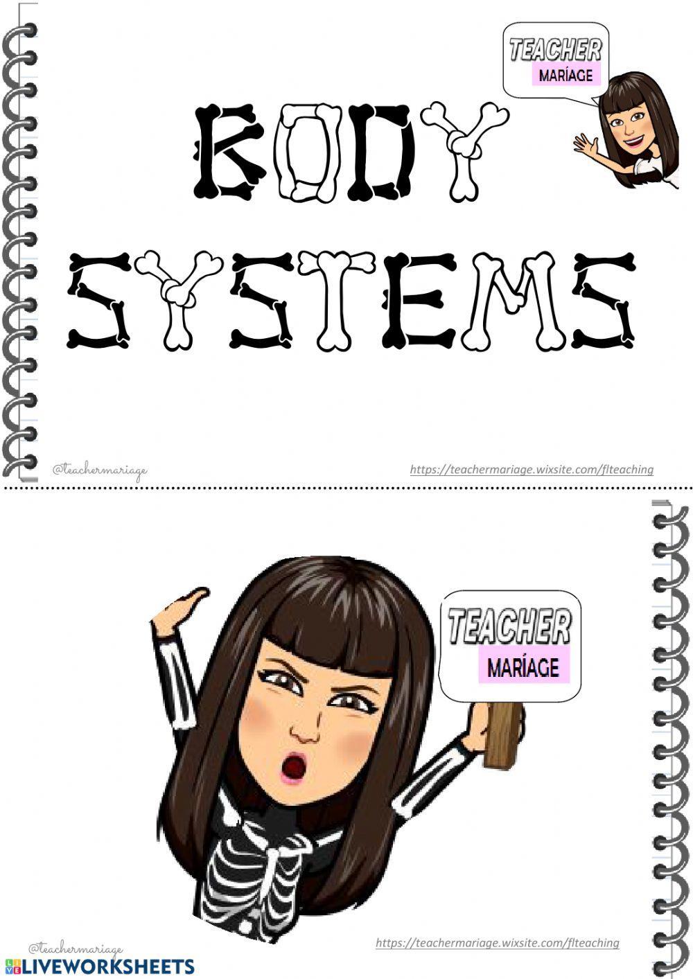 Body system
