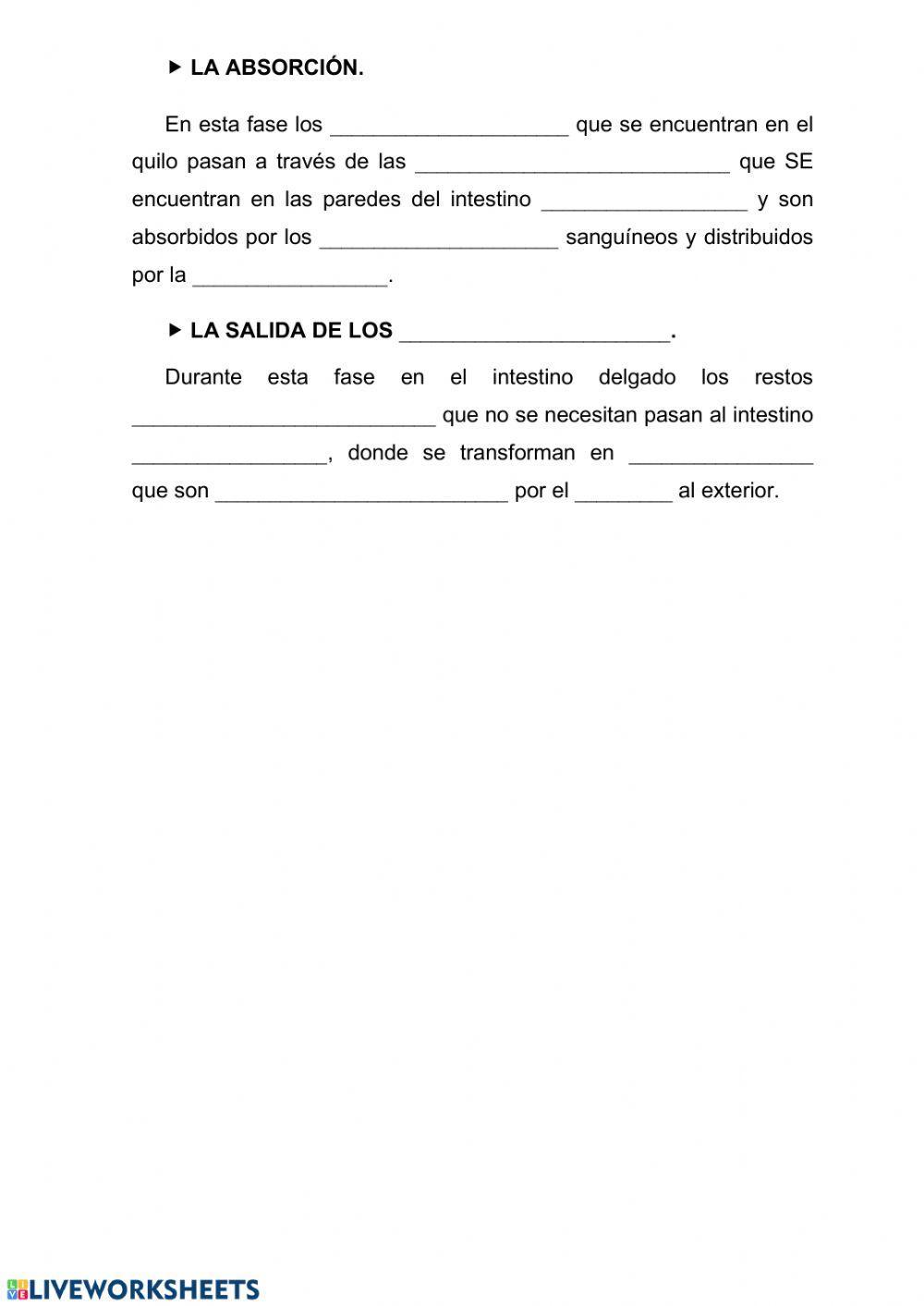 El proceso digestivo