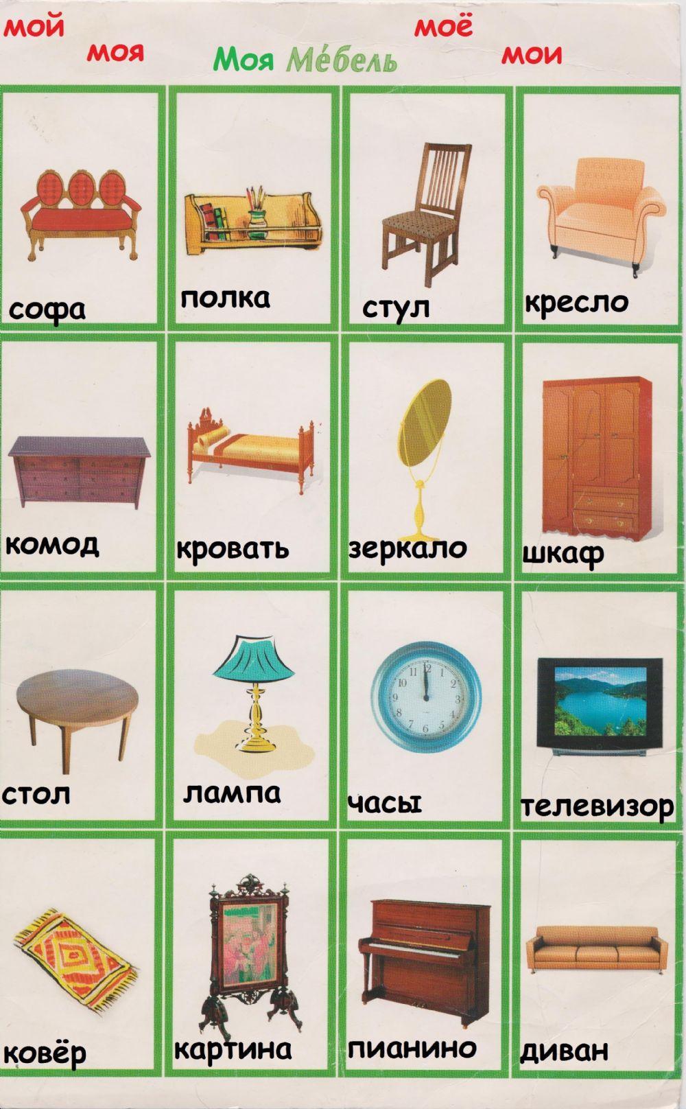 мой-моя-моё-мои