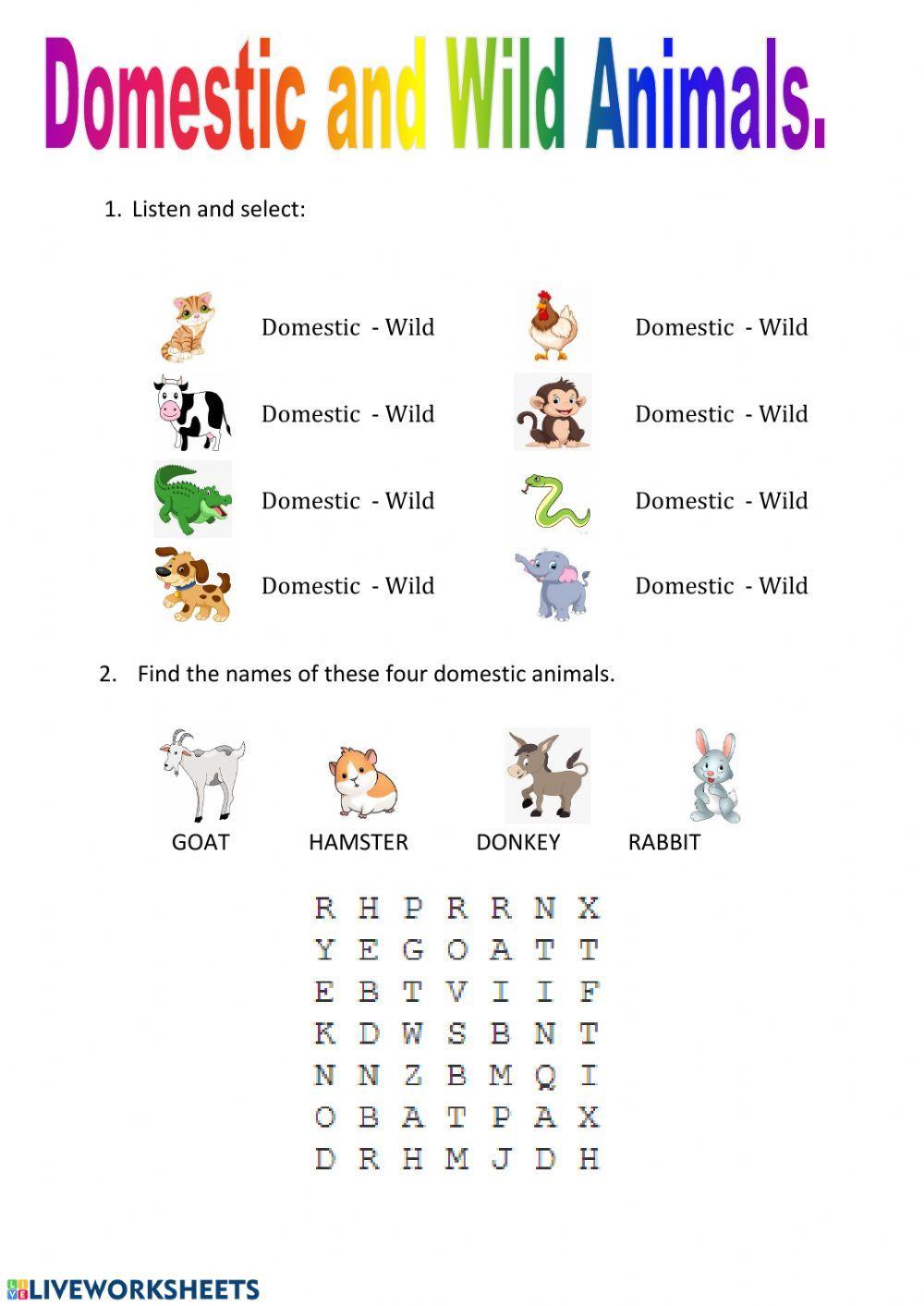 160692 Domestic And Wild Animals 1rosateacher 160692-domestic-and-wild-animals-1rosateacher