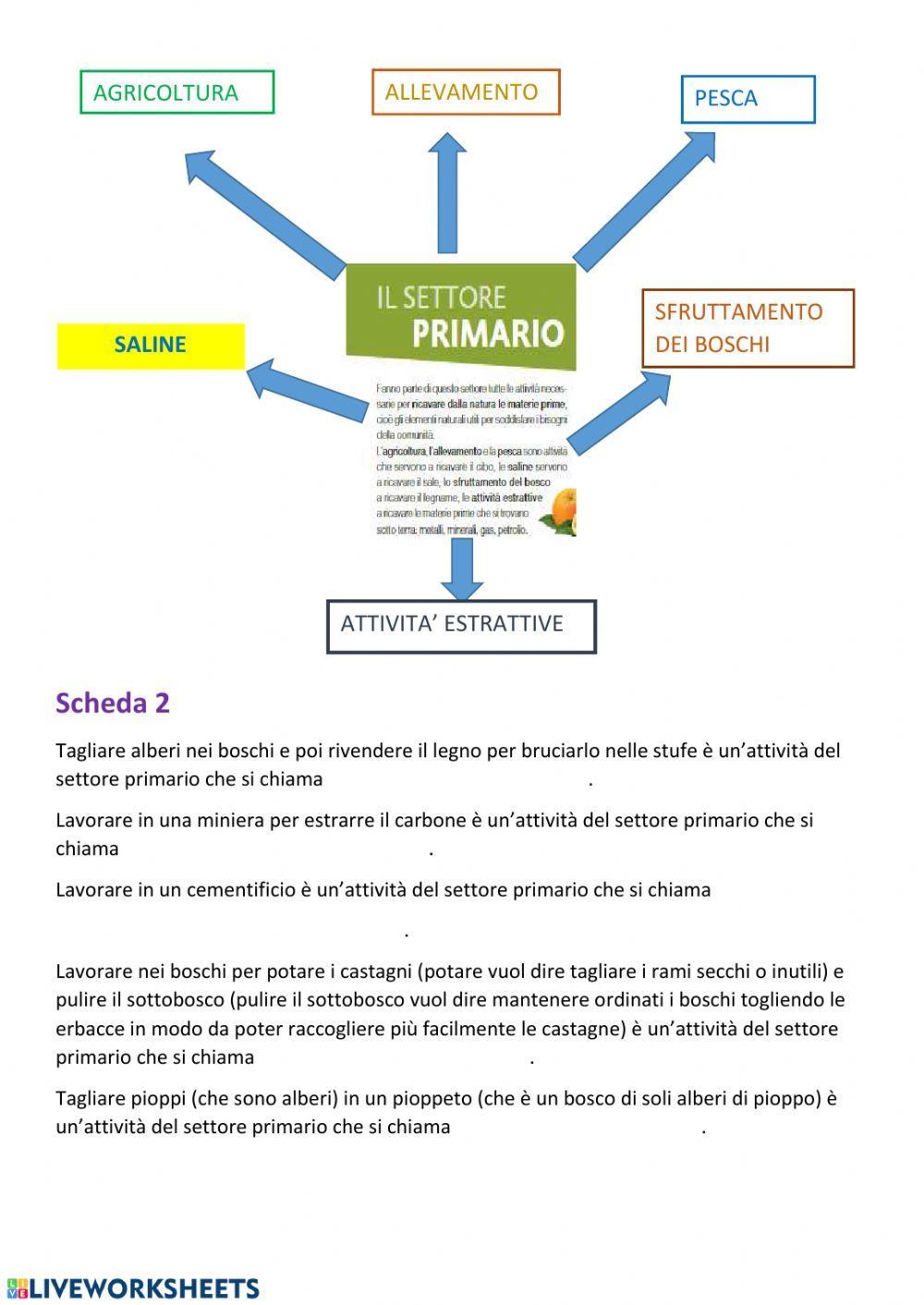 Il settore primario2