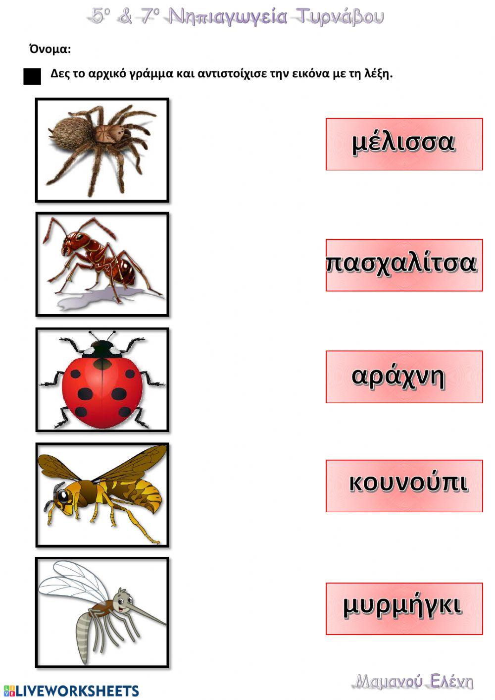 Αντιστοιχιση