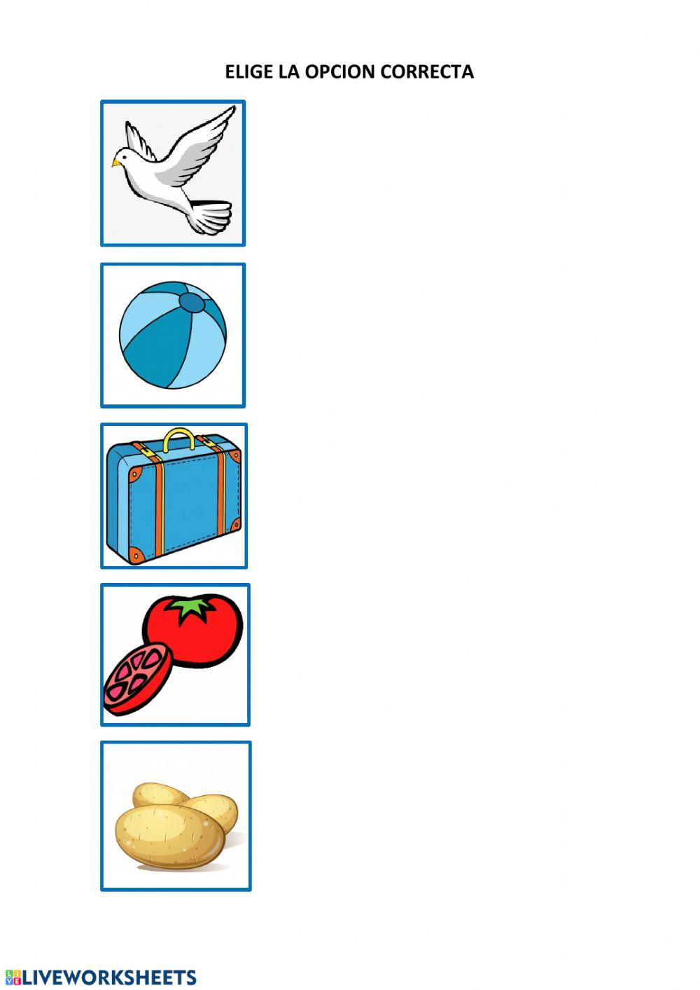 ELIGE LA OPCION CORRECTA(paloma,pelota,maleta,tomate,patata)