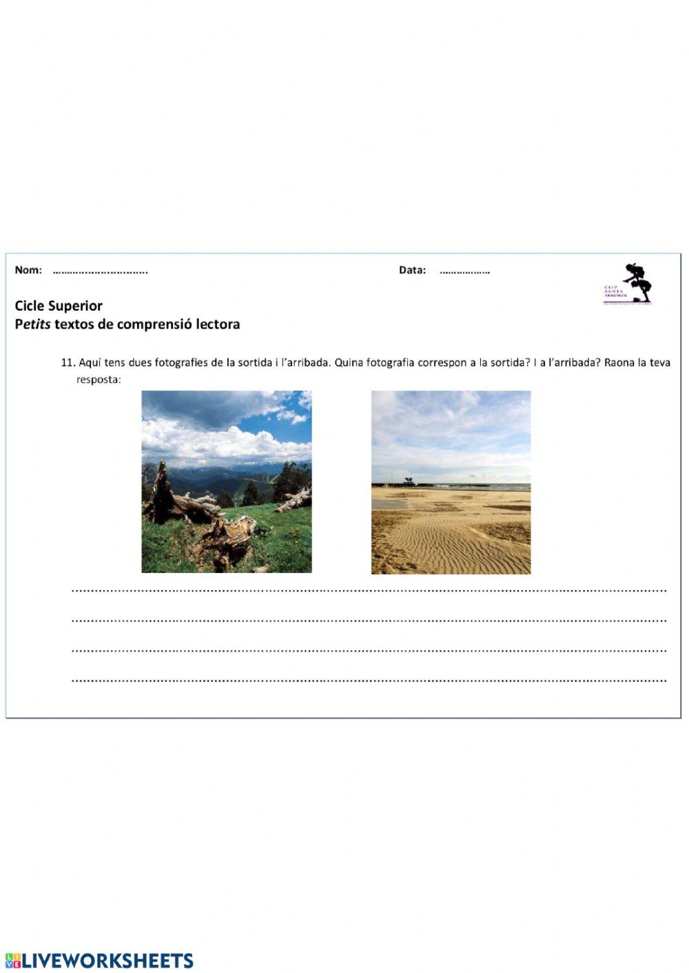 Comprensió lectora competencial 2