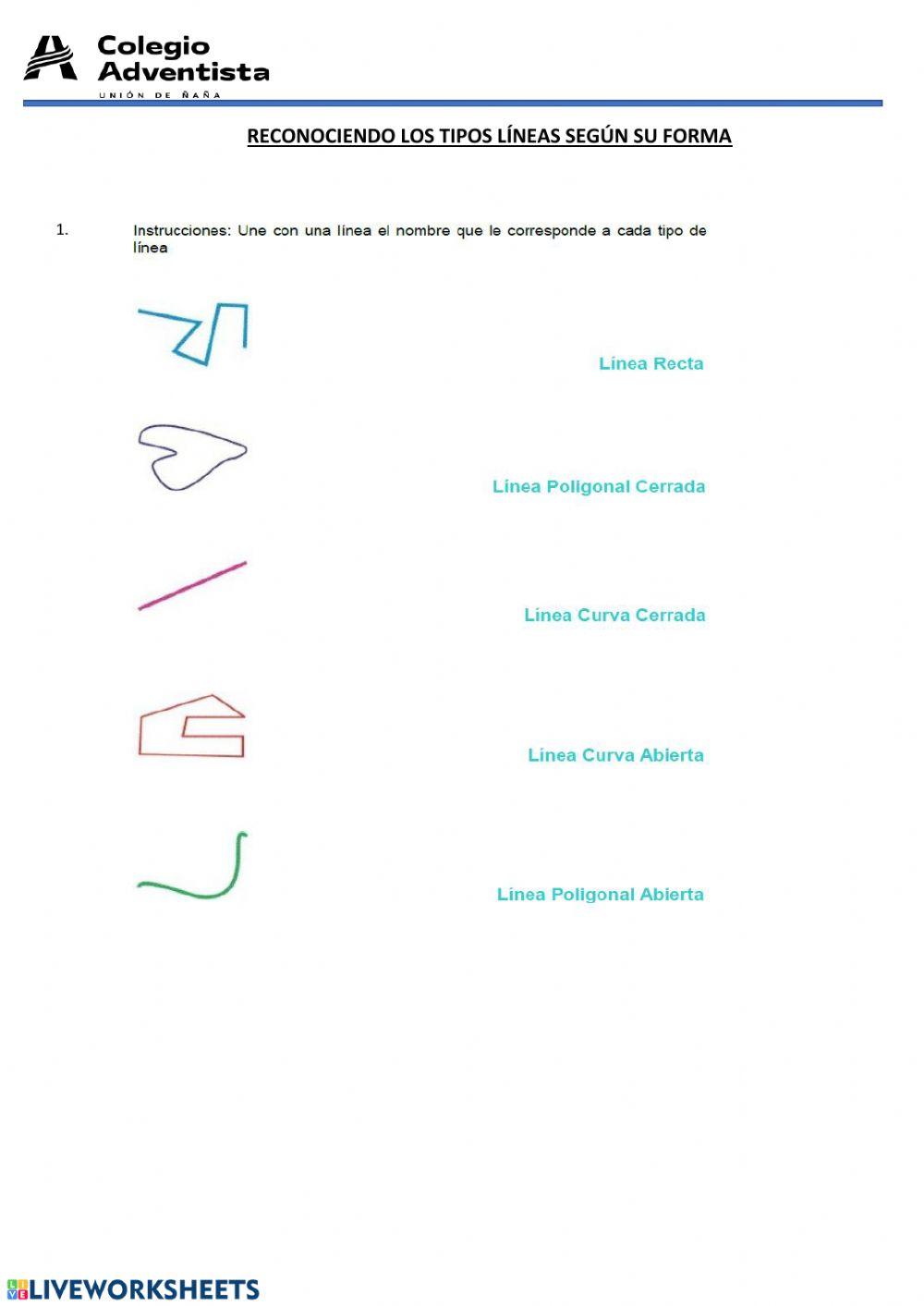 ACTIVIDAD  CON TIPOS DE LÍNEAS. 3 er grado