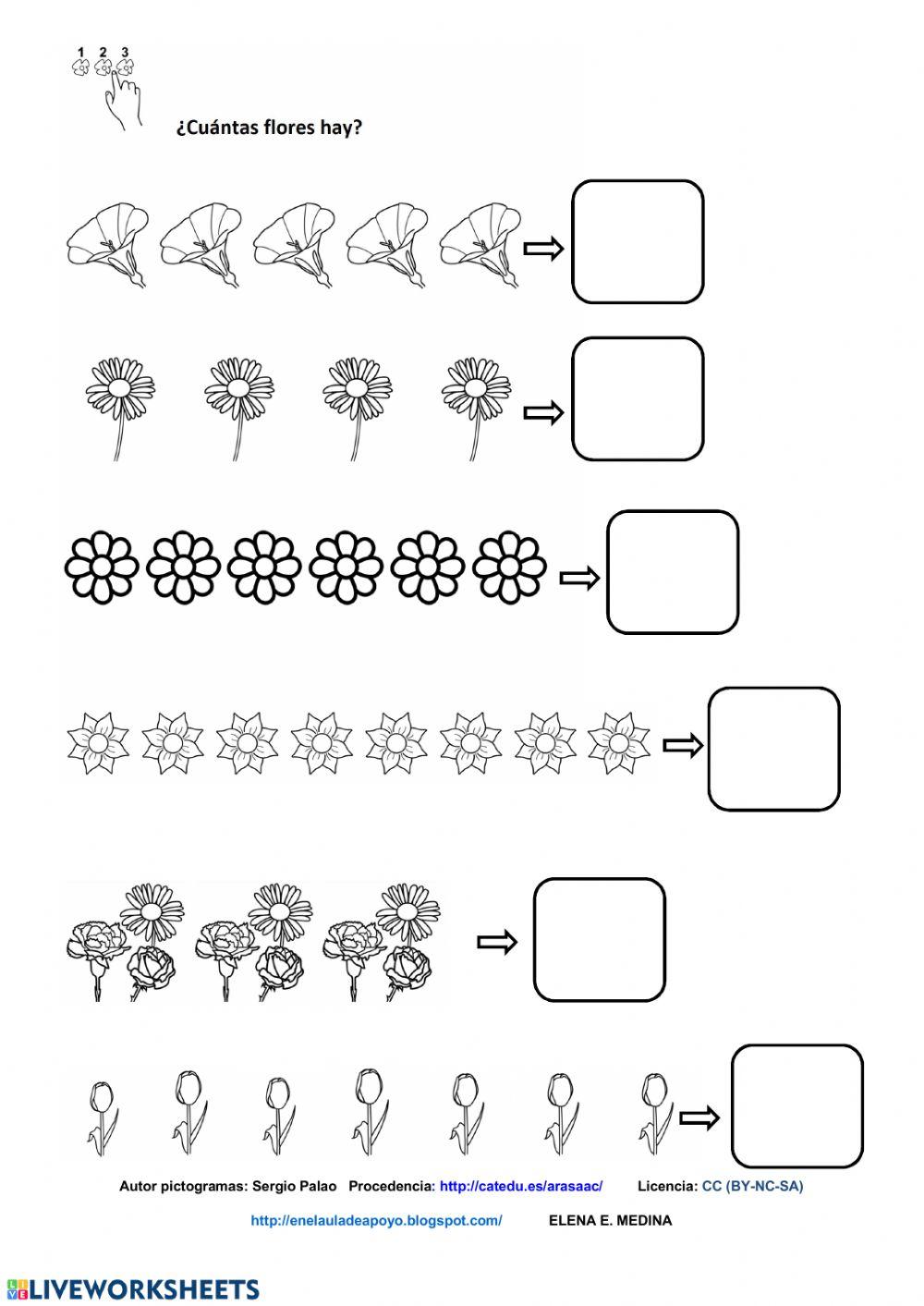 Cuenta flores